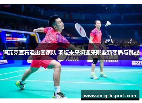 陶菲克宣布退出国家队 羽坛未来将迎来哪些新变局与挑战