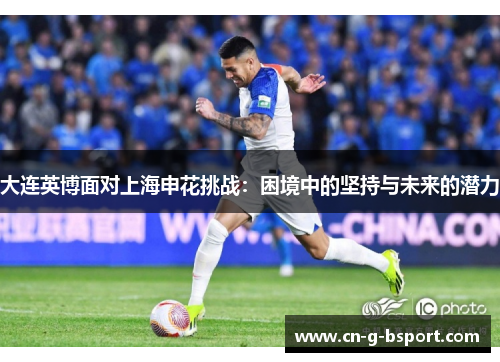 大连英博面对上海申花挑战：困境中的坚持与未来的潜力