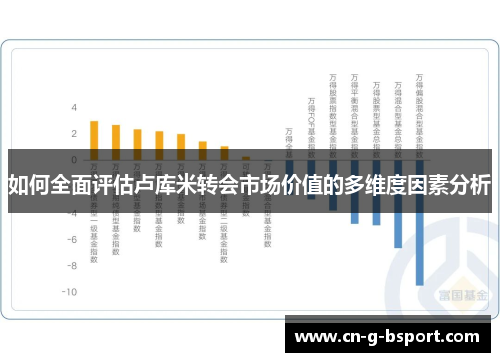 如何全面评估卢库米转会市场价值的多维度因素分析
