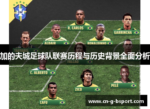加的夫城足球队联赛历程与历史背景全面分析