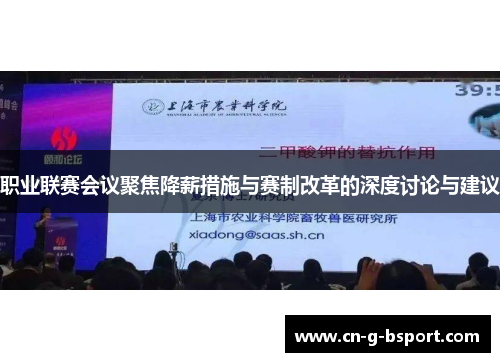 职业联赛会议聚焦降薪措施与赛制改革的深度讨论与建议